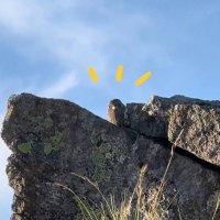 ウルトラランナーつの (@m_t_runner) 's Twitter Profile