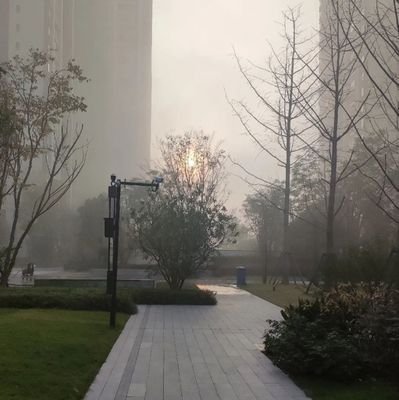 FTeNcbRlCSeph1s's profile picture. 