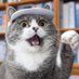 現場猫ケン🐍 (@jpjdwtpdt_) Twitter profile photo 現場猫ケン🐍 (@jpjdwtpdt_) Twitter profile photo