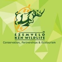 EZEMVELO KZNWildlife (@ezemvelokznwild) 's Twitter Profile