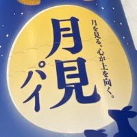 竹中 (@from_mol) 's Twitter Profile