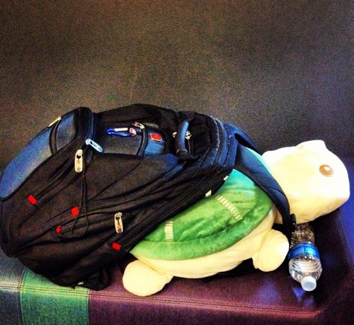 FHWANG007's profile picture. @dukeu - @adaptly - @dancingastro - @splice - @offerpop - @socialbakers - @th3rdbrain