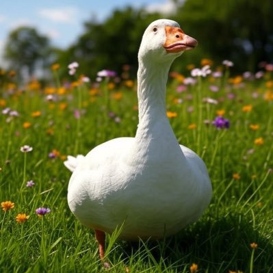 Everyone on FINX is GAY GRIFTER
GOOSE IS NOT HERE FOR A LONG TIME
BUT FOR A GOOD TIME