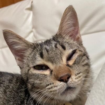 agogo_12's profile picture. 愛大経営学部
インスタ→orenge0107