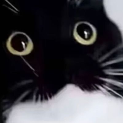 yl2193062768831's profile picture. 🇨🇳注意⚠️⚠️