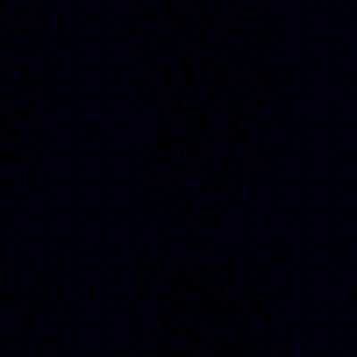 LupeLupeBingo's profile picture. 