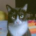 Daduado (@joaogriloof) Twitter profile photo Daduado (@joaogriloof) Twitter profile photo
