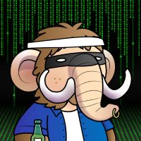 Hunter0x (@cryptoh_0x) 's Twitter Profile Photo Hunter0x (@cryptoh_0x) 's Twitter Profile Photo