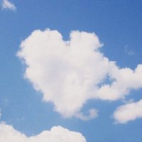 d; (@loversinmoon) 's Twitter Profile Photo