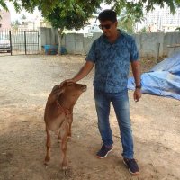 BBMP_AHD_YELAHANKA (@ad_ah_yelahanka) 's Twitter Profile Photo BBMP_AHD_YELAHANKA (@ad_ah_yelahanka) 's Twitter Profile Photo