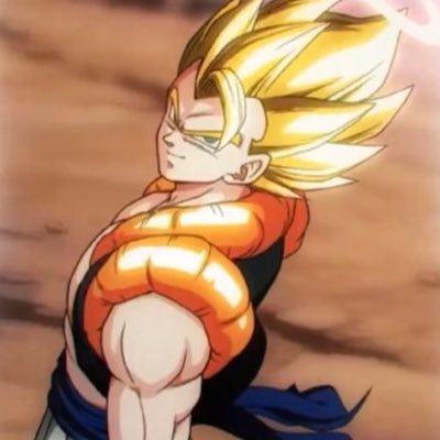 sraoki39gogeta's profile picture. 