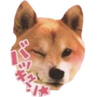 마눌 (@_aaoott) 's Twitter Profile