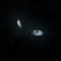 vara (@varatatouille) 's Twitter Profile