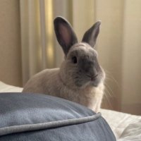 とみー🐰 (@crypto_mmy) 's Twitter Profile