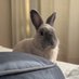 とみー🐰 (@crypto_mmy) Twitter profile photo とみー🐰 (@crypto_mmy) Twitter profile photo