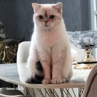 Fatma (@ftmylddz) 's Twitter Profile Photo Fatma (@ftmylddz) 's Twitter Profile Photo