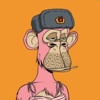 SWADER (@bayc7049) 's Twitter Profile