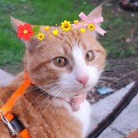 Afet Subaşı (@afetsubasi) 's Twitter Profile
