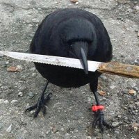 Thisguyxyq (@thisguyxyq612) 's Twitter Profile