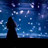 くらげ＠取引垢 (@jellyfish_0303_) Twitter profile photo