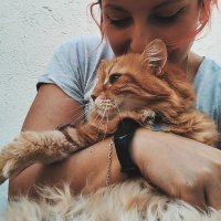 Ἀντιγόνη (@conithebunny) 's Twitter Profile
