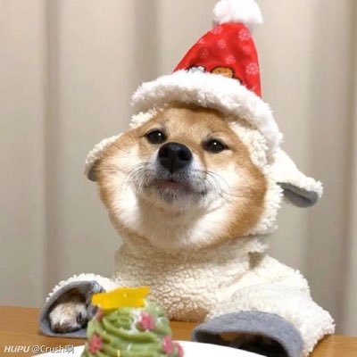 nawease's profile picture. 