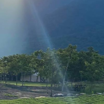 flamerex's profile picture. Rex