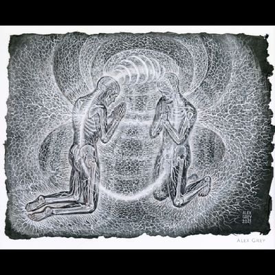 The center for psychedelics and consciousness studies on how psychedelics affect behavior, mood and brain function