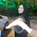 Nehir (@nehirisme) Twitter profile photo Nehir (@nehirisme) Twitter profile photo