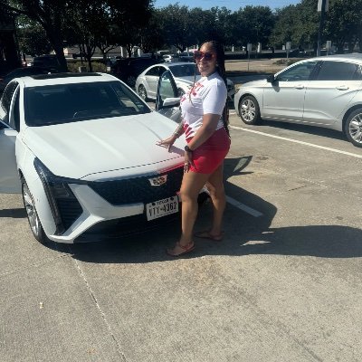 ShimaV41's profile picture. 