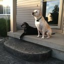 Alison Weber - @alison425 - Twitter