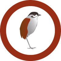 FundaciónJocotoco (@jocotoco_org) 's Twitter Profile