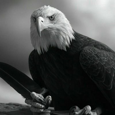 zedz143449's profile picture. South od heaven