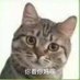 自在 (@zizhu23311) Twitter profile photo 自在 (@zizhu23311) Twitter profile photo