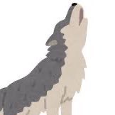 うるふくんʶ☺︎₁ ¨̮さんのプロフィール画像