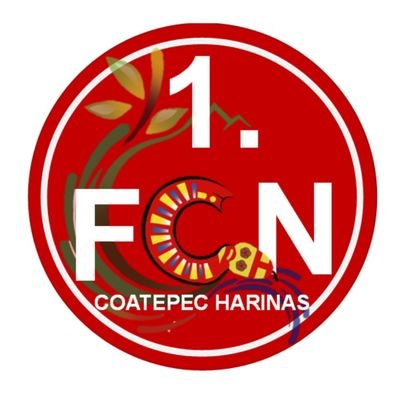 Der offizielle X-Account de 1.FC Nürnberg Coatepec Harinas. #FCNCH