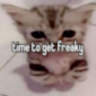 incelfinsub's profile picture. Findom is the epitome of the blackpill.