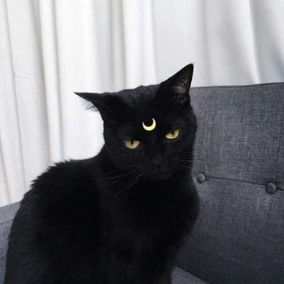 CammyMix's profile picture. 