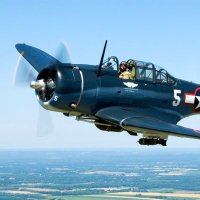 seke (@45nutso) 's Twitter Profile