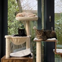 Oswin, Edgar & Bertie (@oswinedgar) 's Twitter Profile