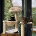 Oswin, Edgar & Bertie (@oswinedgar) Twitter profile photo Oswin, Edgar & Bertie (@oswinedgar) Twitter profile photo