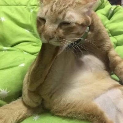 22Mrcrazy's profile picture. 18+ (age 19)
feel free to follow and injoy spam reposts