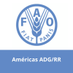 FAO Américas ADG/RR (@faoamericasadg) Twitter profile photo FAO Américas ADG/RR (@faoamericasadg) Twitter profile photo