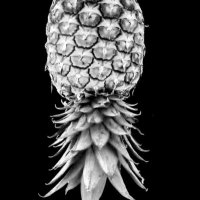 ana y omar (@lu69208) 's Twitter Profile