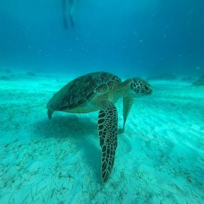 heilshee06's profile picture. 계정 터짐
💙💜🩷❤️🖤
성인