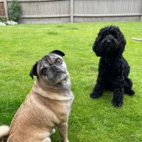 Onavohx (@onavohx) 's Twitter Profile