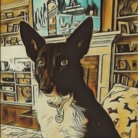 PinYinHead (@pinyinhead) 's Twitter Profile