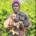 ssebuufu Michael (@petsrescueug) Twitter profile photo ssebuufu Michael (@petsrescueug) Twitter profile photo