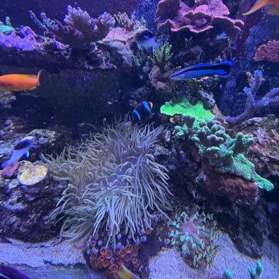 tomtilly28's profile picture. Huge #CFC fan Love my family #Benjamin #Sophia