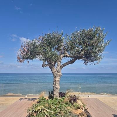 Marta84396383's profile picture. pyzka